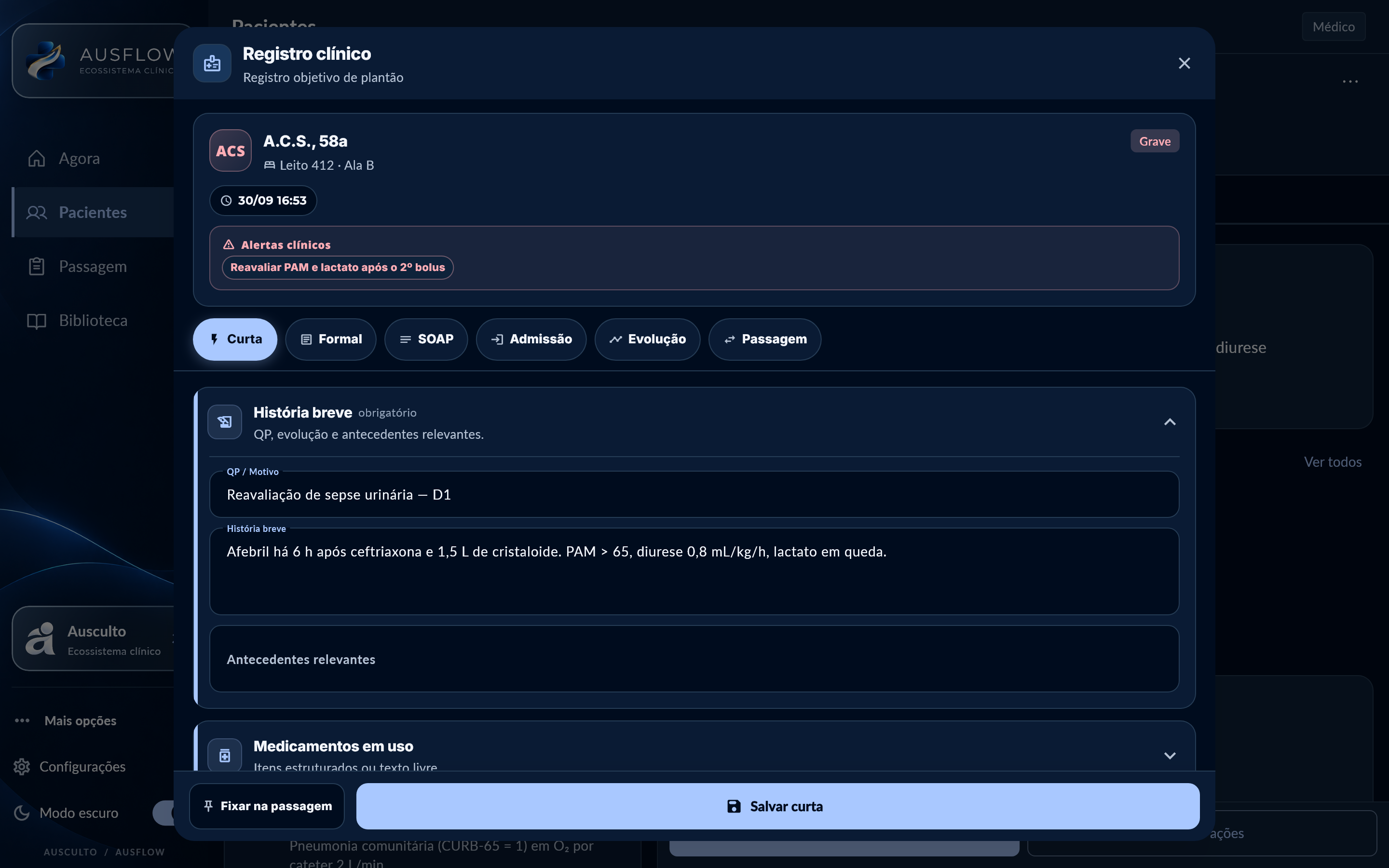 AusFlow : Registro preenchido, dados de demonstração